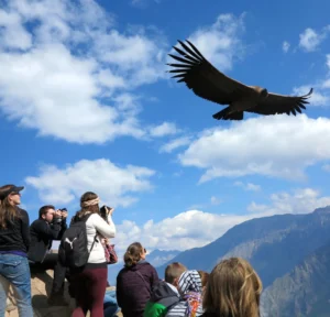 TURISTAS VIENDO EL VUELO DE CONDOR