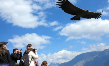 TURISTAS VIENDO EL VUELO DE CONDOR