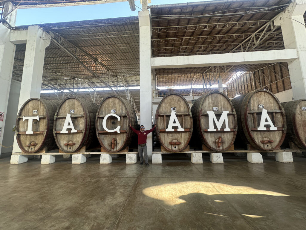bodega tacama barriles
