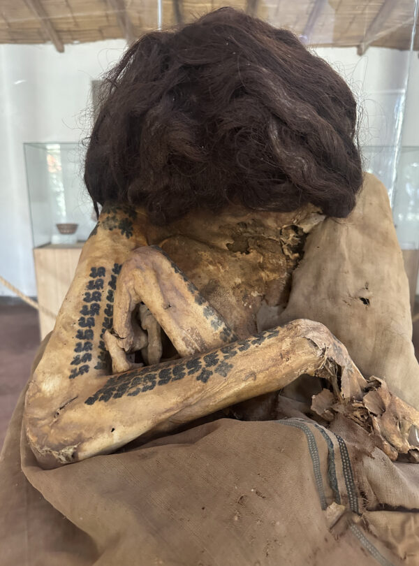 momia tatuada museo maria reiche