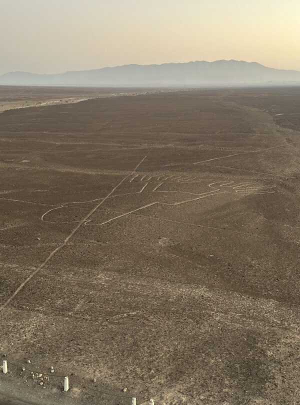 geoglifo la mano desde el mirador
