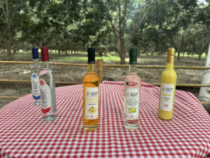 productos cultur pisco