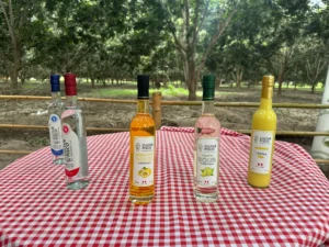 cultur pisco productos