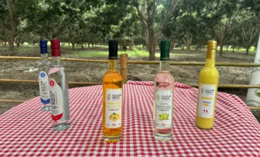 cultur pisco productos