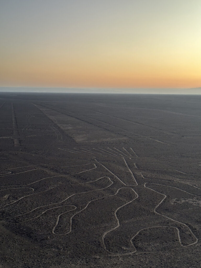 geoglifo el arbol desde el mirador