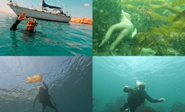 grid buceo en paracas