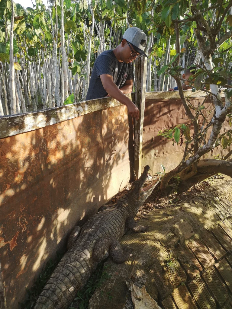 favio dando comer lagarto