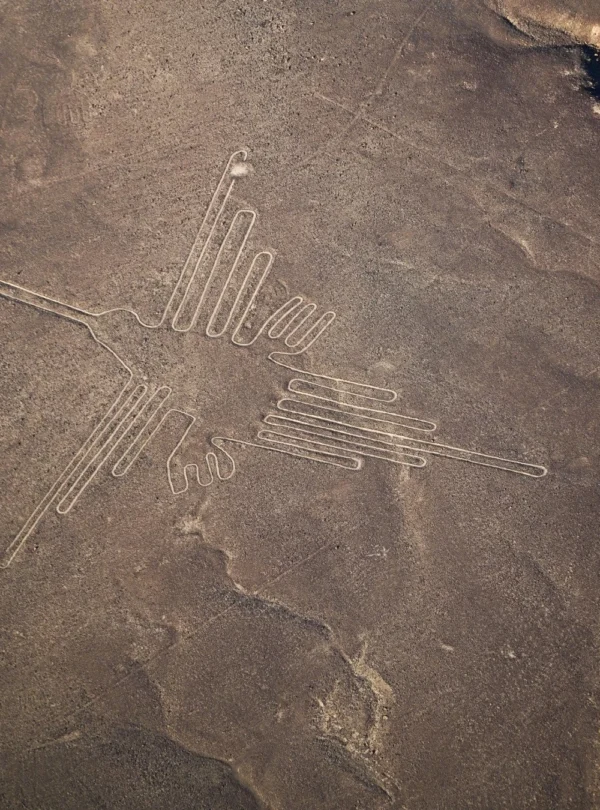 colibri geoglifo de nazca