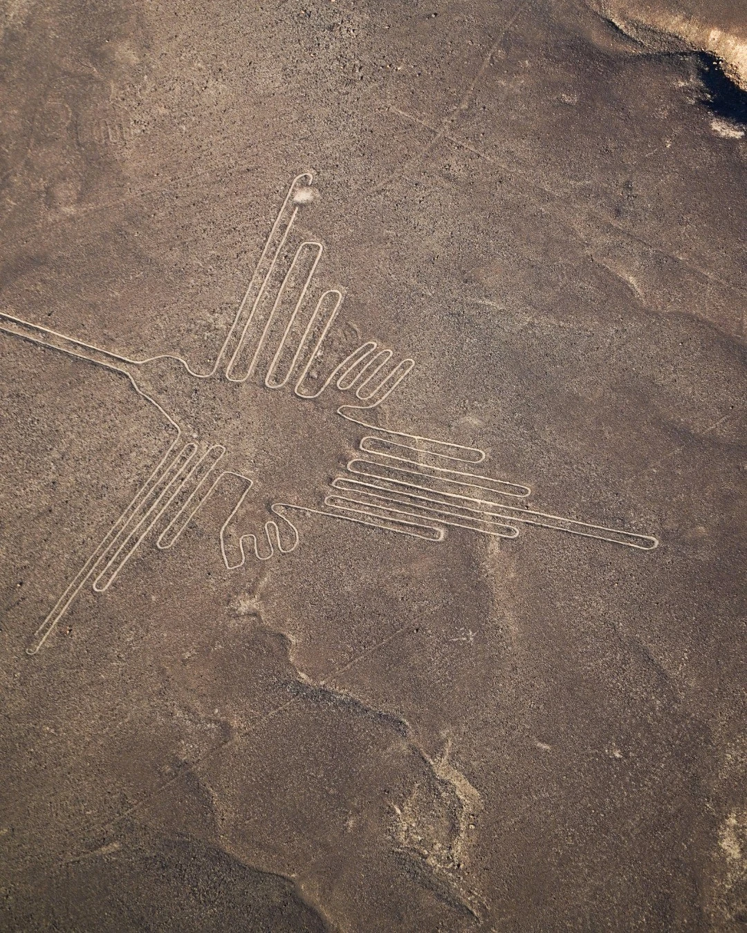colibri geoglifo de nazca